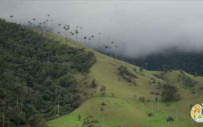 “Autoridad ambiental seguirá aportando su conocimiento técnico para definir capacidad de carga para Cocora”: director general de la CRQ.