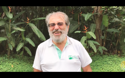 #DíaDelÁrbol  ¡Importantes alianzas realizadas por CRQ contribuyen a la reforestación del departamento!