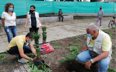 Gestores ambientales de la CRQ en el municipio de Montenegro adelantaron jornada de  siembra de árboles y recolección de residuos sólidos  en el barrio Santa Helena, en coordinación con  la Policía Juvenil y la empresa Urbaser.