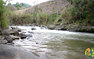 532 estrategias de conservación se realizan en áreas protegidas del Quindío.