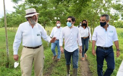 Seguimiento del convenio entre CRQ y Jardín Botánico del Quindío de siembra de 12 mil 700 árboles.