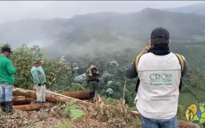 Con la atención de la Unidad de Reacción Inmediata Ambiental de la CRQ y la Policía de Carabineros a denuncia ciudadana fueron decomisados 19.2 metros