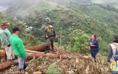 En tres días el director general de la CRQ dará a conocer decisión técnica y jurídica sobre presunta infracción cometida por aguacatera en Pijao.