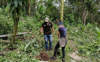 Como parte de las actividades conmemorativas del Día Mundial del Medio Ambiente que se celebra este 5 de junio