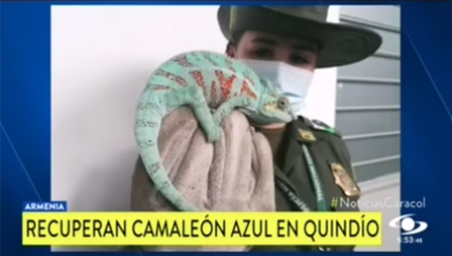 noticias CRQ