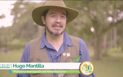 A finales de julio se tendrá el Plan de manejo del mono nocturno.