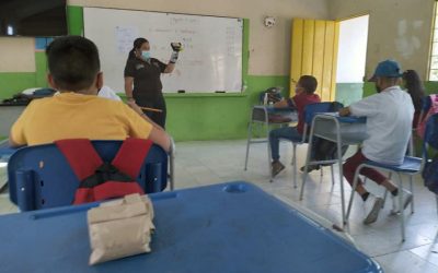 En el municipio de Circasia se realiza establecimiento de huertas escolares por medio de los gestores ambientales de la CRQ.
