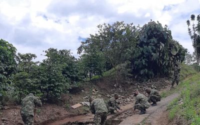 Celebran el Día de la Vida Silvestre con mantenimiento en el CAV de la CRQ.