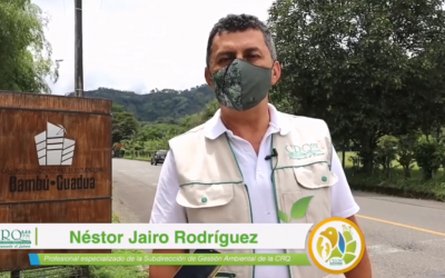 ¡Acompañaremos la construcción de tres casetas comunales utilizando el recurso guadua en Quimbaya!.