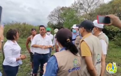 CRQ y tres corporaciones autónomas liberan hoy 160 animales silvestres en Pelaya, César.