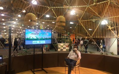 Director general de la CRQ presenta Biodiverciudades en la Feria Internacional del Medio Ambiente