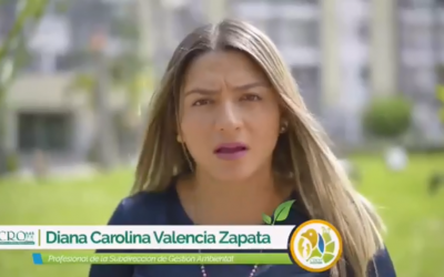 ¡Fauna en categoría de amenaza es registrada por nuestras cámaras trampa en Salento!