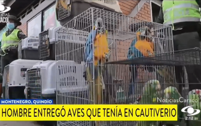 El control a la fauna silvestre se sigue destacando a nivel nacional