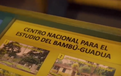 Promoción de Negocios Verdes, proyectos de investigación en flora y fauna y trabajo del Centro Nacional para el Bambú-guadua…