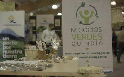 14 Negocios Verdes del Quindío apoyados por la CRQ se ofertan en la Feria Internacional del Medio Ambiente