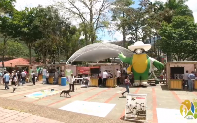 Manejo de los cultivos de aguacate Hass en las zonas rurales de Génova…