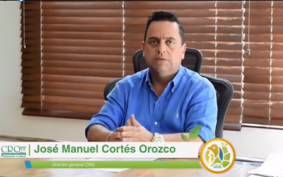 El 21 de octubre presentaremos documento preliminar que define el marco de actuación para las CAR frente a cultivos de aguacate Hass en Colombia