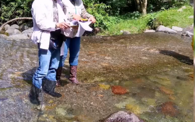 Efectuaremos monitoreos en 20 tramos del río Quindío para descartar la presencia de agroquímicos
