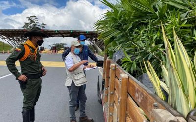 Control en el Quindío a la movilización de productos forestales