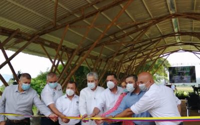 CRQ participa en el primer Encuentro nacional guadua-bambú de Pitalito, Huila