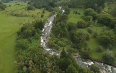 12 mil hectáreas en el Quindío tendrán pagos por servicios ambientales de la CRQ