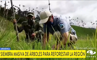 En medio nacional se destaca el apoyo de la CRQ al Ejército Nacional para hacer del Quindío un territorio más verde.
