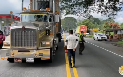 Verificamos 79 vehículos durante operativo nacional de control a la movilización y comercialización de productos forestales