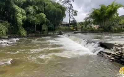 No hay presencia de plaguicidas organoclorados en el río Quindío de acuerdo a técnica utilizada por la Universidad de Antioquia