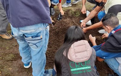 Procesos de resocialización a través de la restauración ecológica