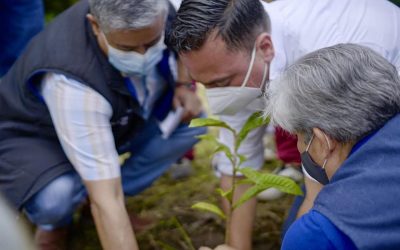 Iniciamos la Jornada Nacional de Sembratón en el Quindío