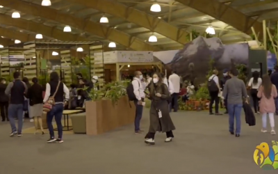 Más de 4.600 visitantes en nuestros stands y ventas por $ 5 millones, balance que deja la Feria Internacional del Medio Ambiente