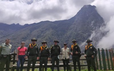 Imponen medida correctiva a turista por recolectar flora silvestre sin permiso de la autoridad ambiental