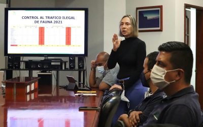 La CRQ ha incautado 885 individuos de fauna silvestre este año