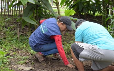 Jornada ambiental se tomó esta mañana el barrio La Esmeralda de Armenia
