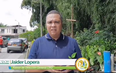 Proyecto de Biodiverciudades de la CRQ será implementado en el barrio La Esmeralda