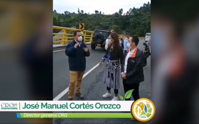 Más de 58 mil árboles sembrados durante las obras del Túnel de la Línea gracias a permisos otorgados por la CRQ
