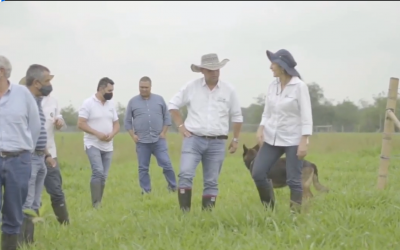 CRQ aliado de cultivadores de caña de azúcar para la protección del río Cauca
