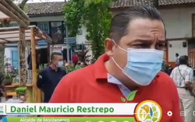Más de 3 mil árboles han sido el aporte de la CRQ para el mejoramiento ambiental del Emporio Cafetero del Quindío