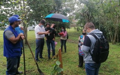 Sembrarán especies nativas en el barrio Ciudad Libre de Circasia