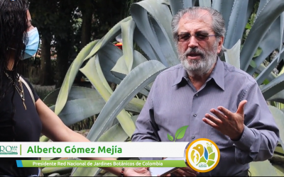 Desde el Quindío se reflexiona sobre la aplicabilidad de la normatividad ante delitos ambientales