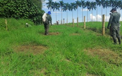 10 hectáreas de ecosistemas degradados serán restaurados en la cuenca del río Quindío