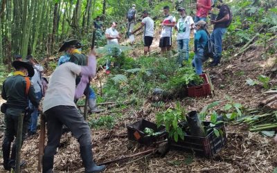 Gestores ambientales de la CRQ participaron en la siembra de 350 árboles en Salento y Quimbaya en el marco del Día Mundial de los Humedales