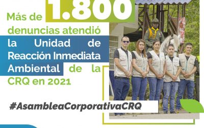 #AsambleaCorporativaCRQ