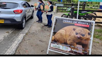 Las gestoras ambientales de la CRQ en el municipio de Salento y personal de la alcaldía municipal continúan realizando la campaña…