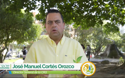 Un total de 14 árboles del parque Los Fundadores de Armenia deben ser relevados arrojó diagnóstico de la CRQ