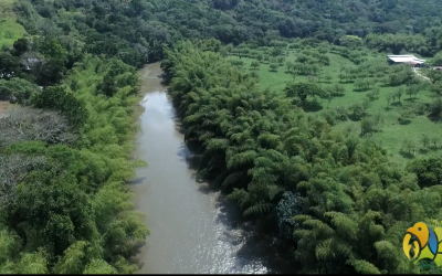 Minambiente destaca la labor de la CRQ en mejorar la calidad ambiental de los quindianos