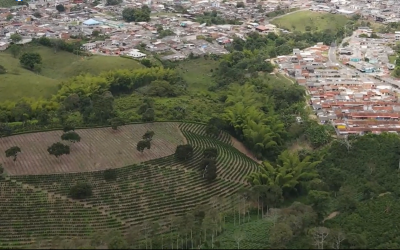 Más de 150 denuncias ambientales atendidas por la Unidad de Reacción Inmediata Ambiental de la CRQ en Quimbaya en 2021
