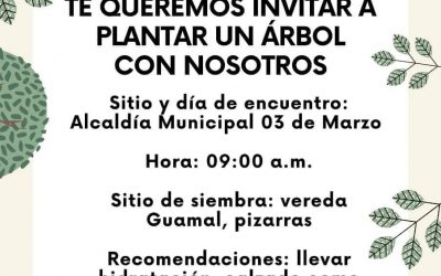 ¿Quiere hacer parte de la conmemoración del Día Mundial de la Vida Silvestre en el municipio de Pijao?
