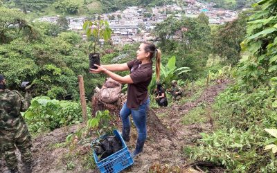 En conmemoración al Día Mundial de la Vida Silvestre Gestores Ambientales de la CRQ hicieron parte de la siembra…