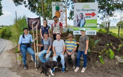 60 guayacanes y guamos fueron sembrados en la ribera del río Rojo en el predio Ilusión Ecoparque del municipio de Génova